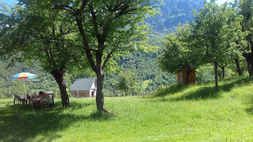 Guesthouse Dritan Tethorja Theth