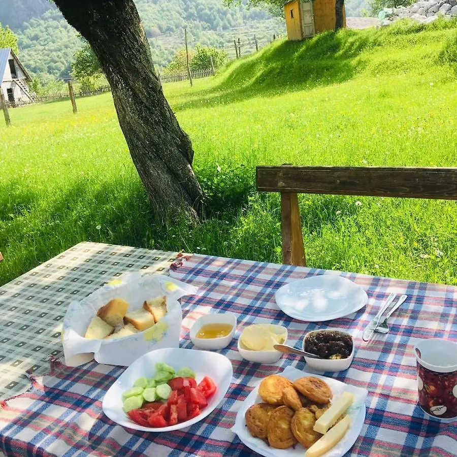 Guesthouse Dritan Tethorja Theth 4*,  Albania