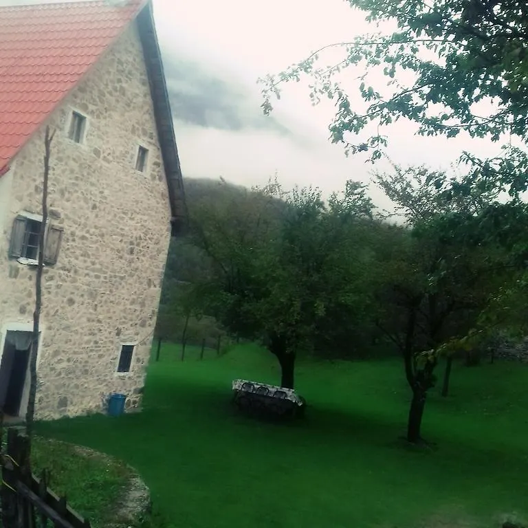 Guesthouse Dritan Tethorja Theth Konukevi