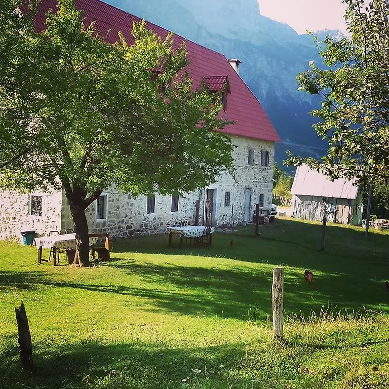 Guesthouse Dritan Tethorja Theth